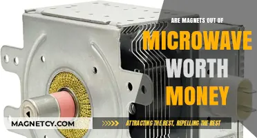 Decoding the Value: Are Magnets from Old Microwaves Worth Anything?