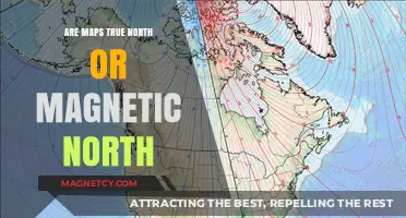 Navigating the North: True vs. Magnetic Directions Explained