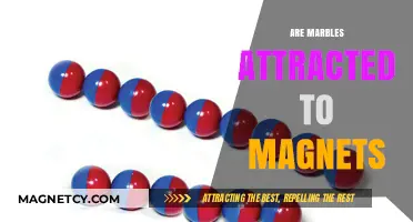Do Marbles Stick to Magnets? Unraveling the Magnetic Mystery