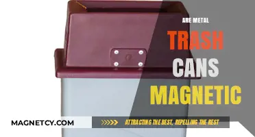 Are Metal Trash Cans Magnetic? Exploring Materials and Properties