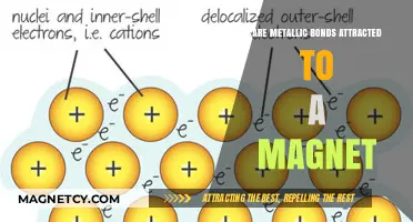 Do Metallic Bonds Attract Magnets? Unraveling the Science Behind the Myth