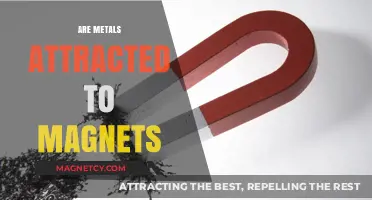 Do All Metals Stick to Magnets? Unraveling Magnetic Attraction Mysteries
