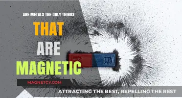 Exploring Magnetism: Beyond Metals to Uncover Nature's Hidden Forces