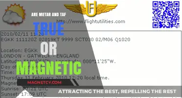 Exploring the Accuracy of METAR and TAF Reports: True or Magnetic?