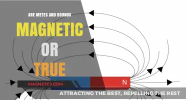 Exploring the Nature of Metes and Bounds: Magnetic or True?