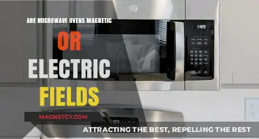 Exploring the Nature of Microwave Ovens: Magnetic vs. Electric Fields
