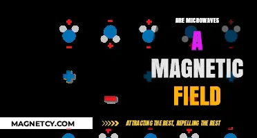Exploring the Science: Microwaves and Magnetic Fields Unveiled