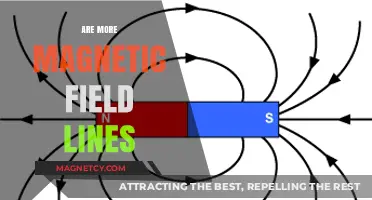 Exploring the Mysteries of Magnetic Field Lines: Are More Always Better?