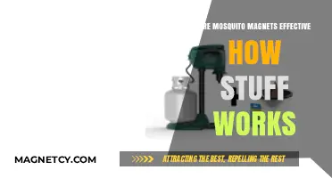 Decoding Mosquito Magnets: The Science Behind Their Effectiveness
