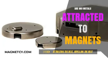 Are Mu Metals Magnetic? Exploring Magnetism and Mu Metal Properties