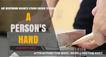 The Power of Neodymium: Can These Magnets Crush a Human Hand?
