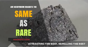 Exploring the Differences: Neodymium Magnets vs. Rare Earth Magnets