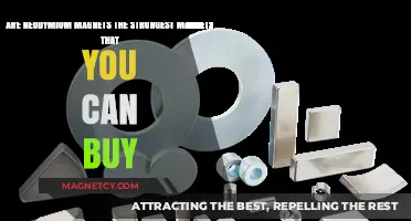 Are Neodymium Magnets the Strongest Available for Purchase?