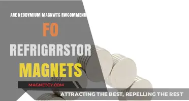 Exploring the Use of Neodymium Magnets in Refrigerators: Pros and Cons