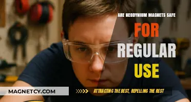 Neodymium Magnets Safety: Are They Safe for Everyday Use?