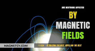 Exploring the Influence of Magnetic Fields on Neutrons