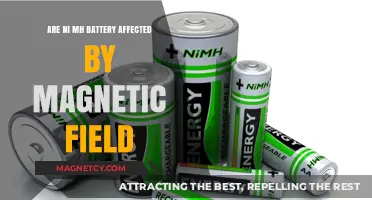 Exploring the Impact of Magnetic Fields on Ni-MH Batteries