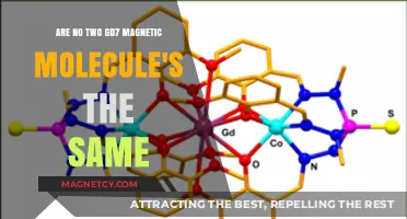 Exploring the Unique Nature of GD7 Magnetic Molecules