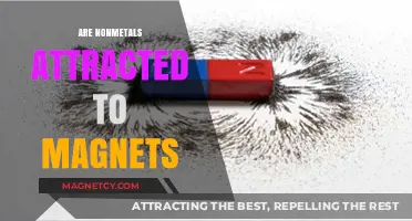 Do Nonmetals Stick to Magnets? Unraveling Magnetic Attraction Mysteries