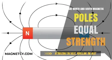 Exploring the Balance: Are Earth's Magnetic Poles Equal in Strength?