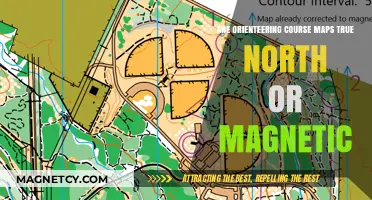Navigating Orienteering Maps: True North vs. Magnetic North