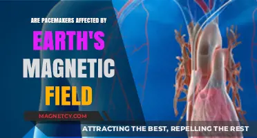 Exploring the Impact of Earth's Magnetic Field on Pacemakers