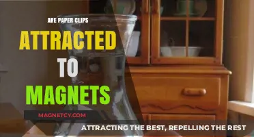 Do Paper Clips Stick to Magnets? Unveiling the Magnetic Truth