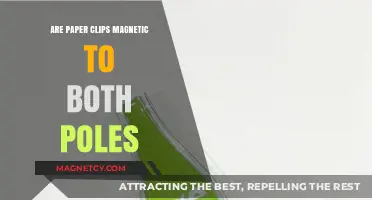 Exploring the Magnetic Mystery: Are Paper Clips Attracted to Both Poles?