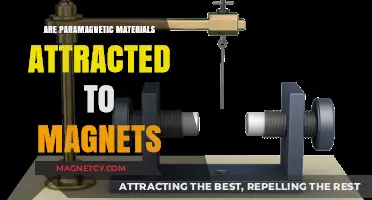 Do Paramagnetic Materials Stick to Magnets? Exploring Magnetic Attraction