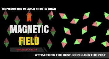 Paramagnetic Molecules: Understanding Their Attraction to Magnetic Fields