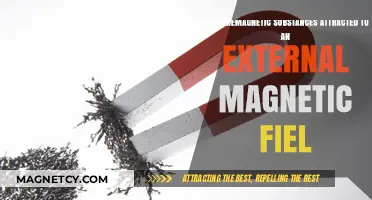 Are Paramagnetic Substances Attracted to External Magnetic Fields?