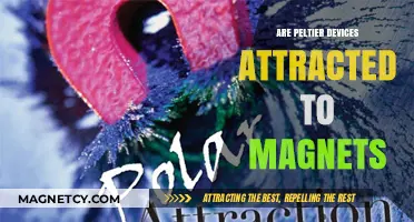 Are Peltier Devices Magnetic? Exploring Their Attraction to Magnets