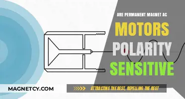 Understanding Polarity Sensitivity in Permanent Magnet AC Motors