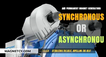 Understanding Permanent Magnet Generators: Synchronous or Asynchronous?