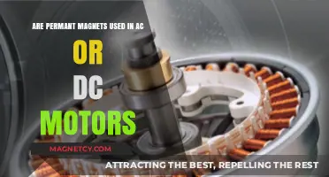 Permanent Magnets in AC vs DC Motors: Usage and Applications