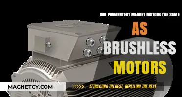 Decoding the Differences: Permanent Magnet vs Brushless Motors