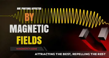 Exploring the Interaction: Photons and Magnetic Fields Unveiled