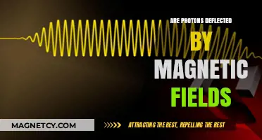 Exploring the Interaction: Photons and Magnetic Fields