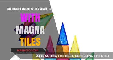 Exploring Compatibility: Picasso Magnetic Tiles and Magna-Tiles Connection