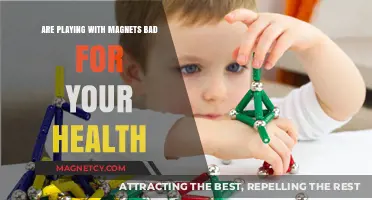 Magnetic Play: Unraveling the Health Myths and Facts