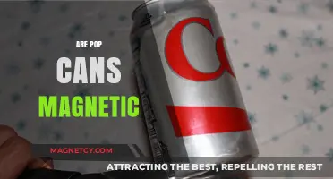 Are Pop Cans Magnetic? Unveiling the Truth Behind Aluminum and Magnets