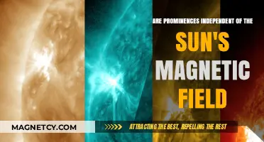 Exploring Solar Prominences: A Study Beyond the Sun's Magnetic Influence