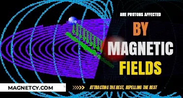 Exploring the Influence of Magnetic Fields on Protons
