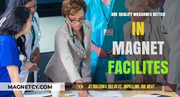Exploring Excellence: Quality Measures in Magnet Facilities