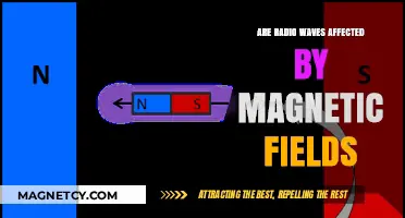 Exploring the Interaction: Do Magnetic Fields Influence Radio Waves?