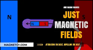 Unraveling the Mystery: Radio Waves vs. Magnetic Fields