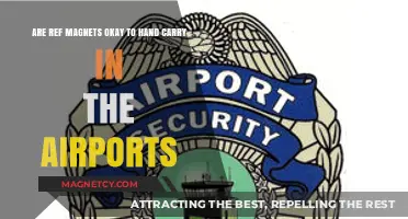 Airport Security: The Truth About Carrying Ref Magnets