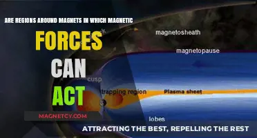 Exploring Magnetic Fields: How Magnets Influence Surrounding Regions