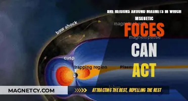 Exploring Magnetic Fields: Regions Where Forces Act Around Magnets