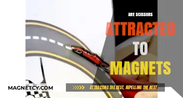 Do Scissors Stick to Magnets? Unraveling the Magnetic Mystery